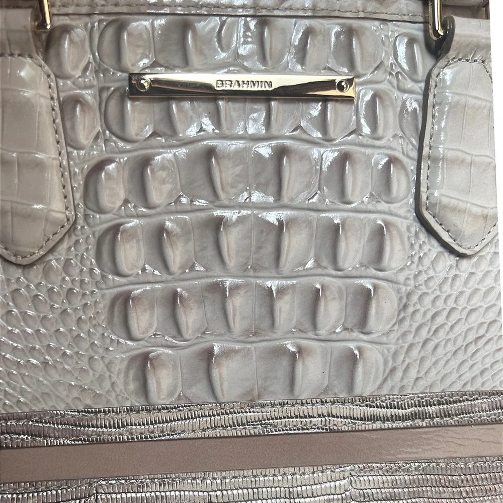 Brahmin mini asher